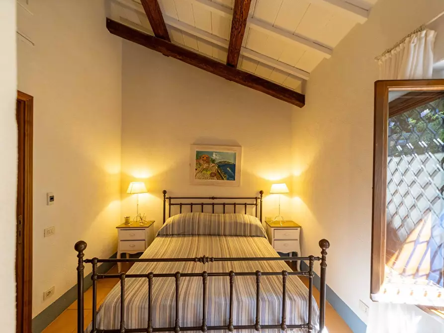 Immagine 50 di Villa in affitto  in via lividonia a Monte Argentario