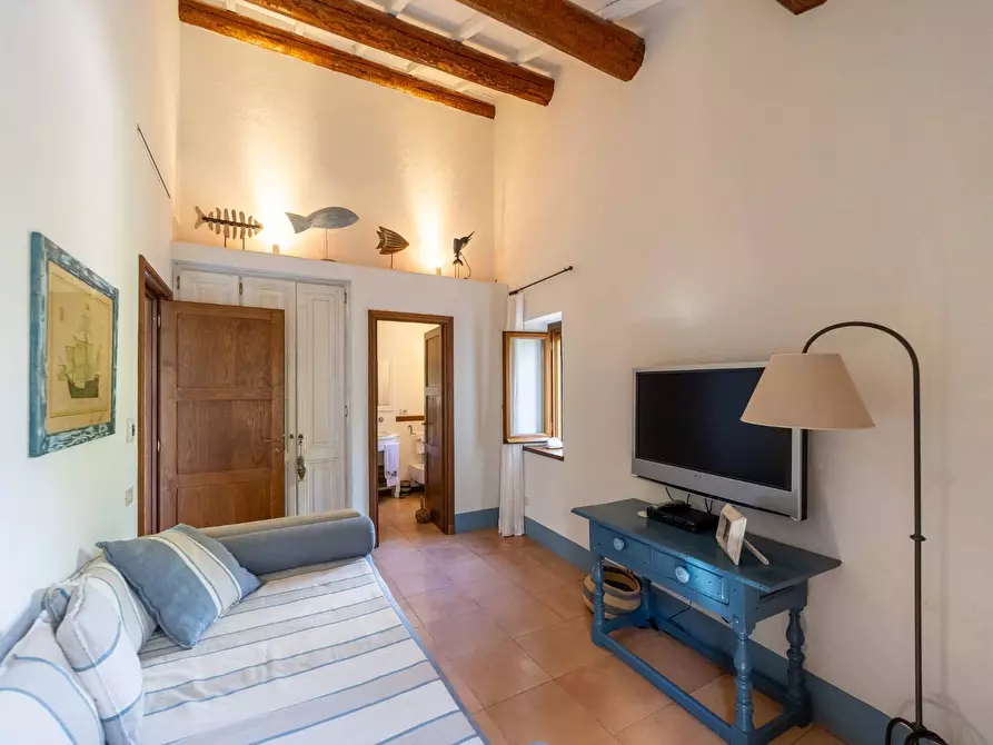 Immagine 56 di Villa in affitto  in via lividonia a Monte Argentario