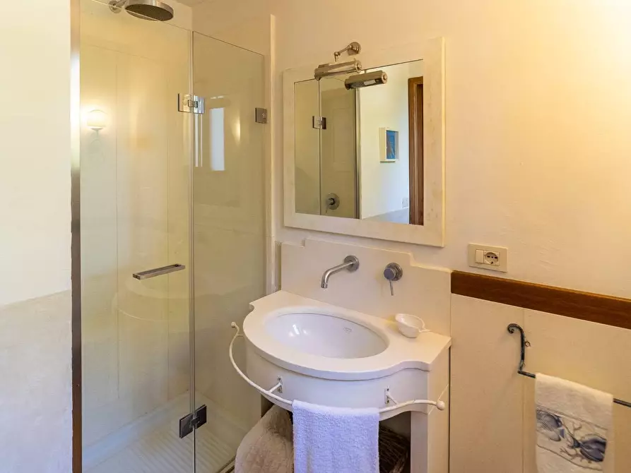 Immagine 65 di Villa in affitto  in via lividonia a Monte Argentario