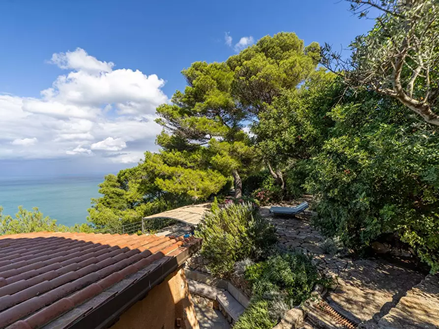 Immagine 66 di Villa in affitto  in via lividonia a Monte Argentario