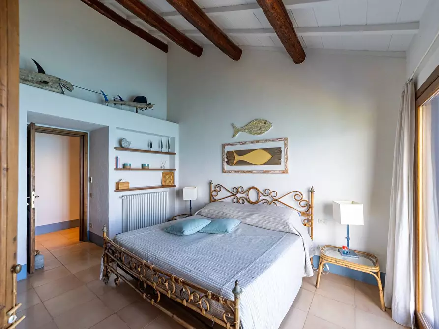 Immagine 54 di Villa in affitto  in via lividonia a Monte Argentario