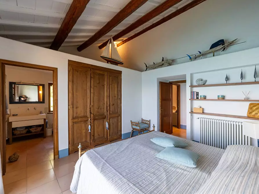 Immagine 67 di Villa in affitto  in via lividonia a Monte Argentario