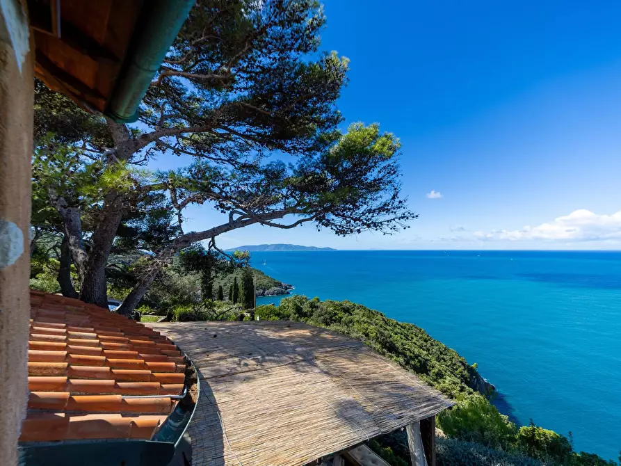 Immagine 70 di Villa in affitto  in via lividonia a Monte Argentario