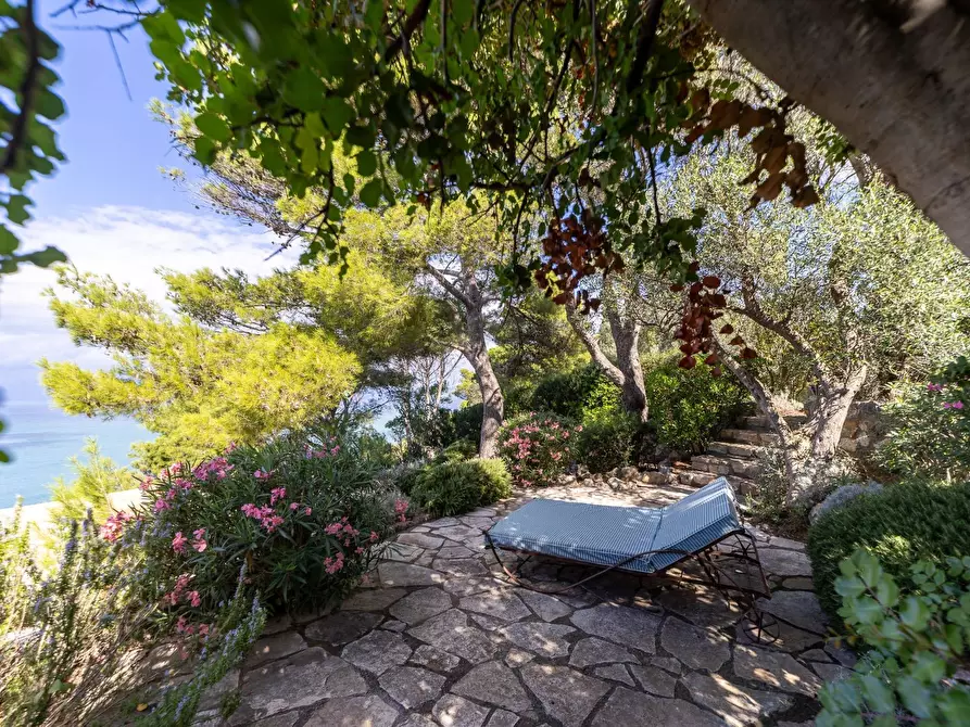 Immagine 71 di Villa in affitto  in via lividonia a Monte Argentario