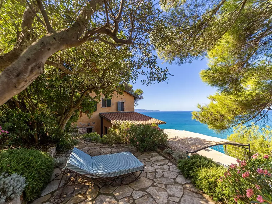 Immagine 72 di Villa in affitto  in via lividonia a Monte Argentario