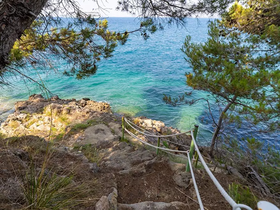 Immagine 23 di Appartamento in affitto  in Via del Calvello snc a Monte Argentario