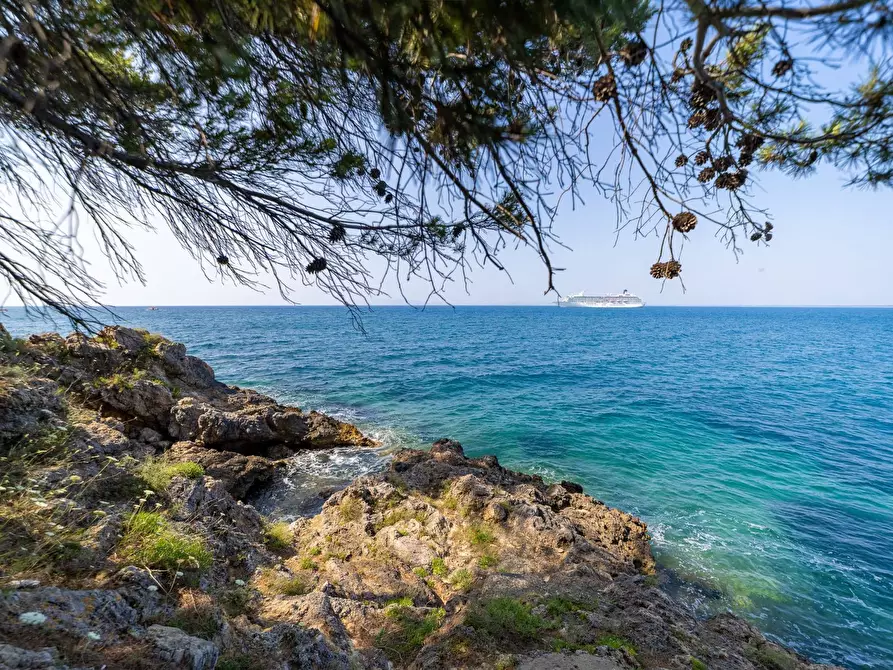 Immagine 1 di Appartamento in affitto  in Via del Calvello snc a Monte Argentario