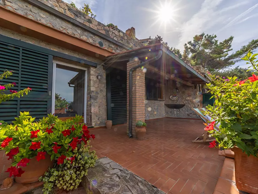 Immagine 16 di Appartamento in affitto  in Località Cala Piccola snc a Monte Argentario