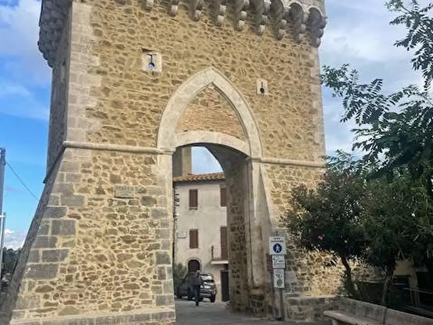 Immagine 15 di Cantina in vendita  in via amiatina pereta a Magliano In Toscana