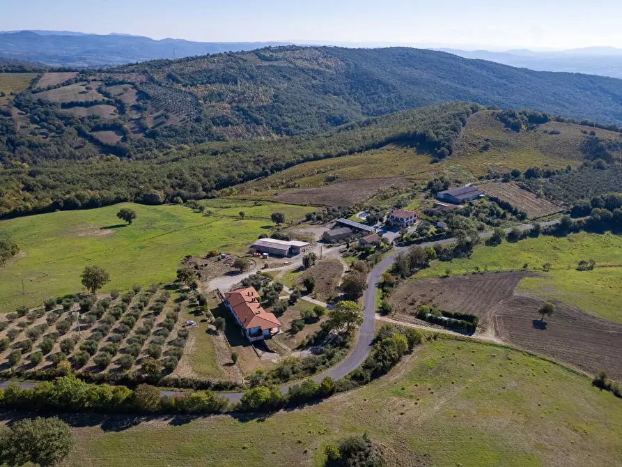 Immagine 5 di Villa in vendita  in agriturismo il poderuccio a Scansano