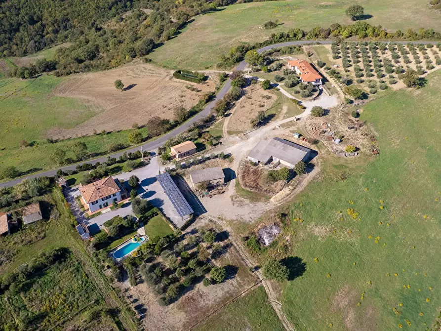 Immagine 4 di Villa in vendita  in agriturismo il poderuccio a Scansano