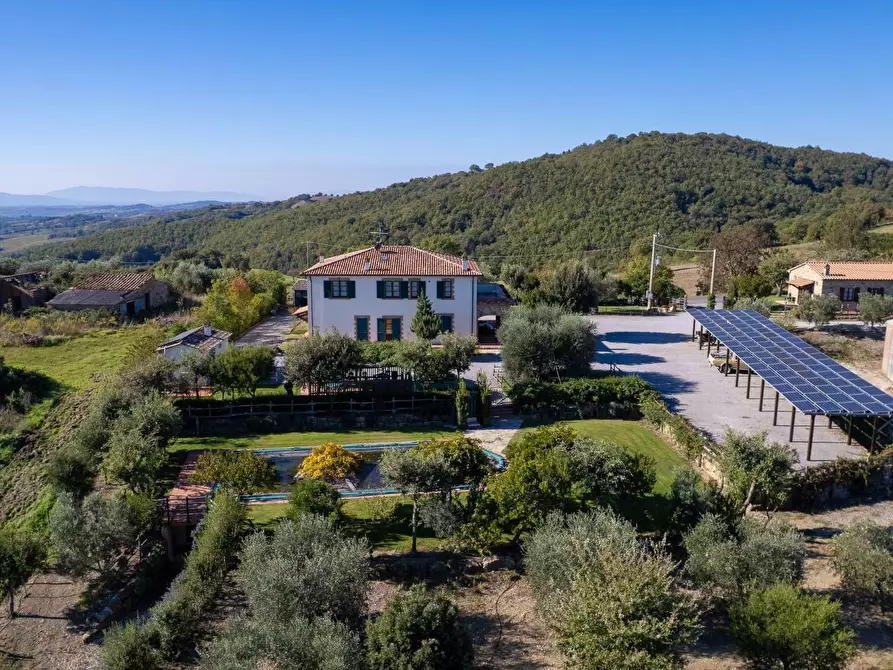 Immagine 3 di Villa in vendita  in agriturismo il poderuccio a Scansano
