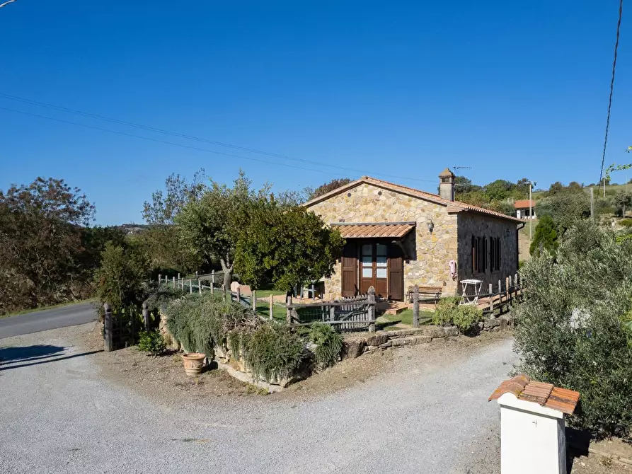 Immagine 8 di Villa in vendita  in agriturismo il poderuccio a Scansano