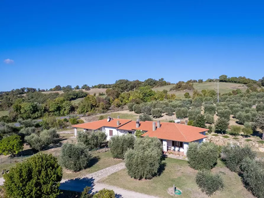 Immagine 9 di Villa in vendita  in agriturismo il poderuccio a Scansano