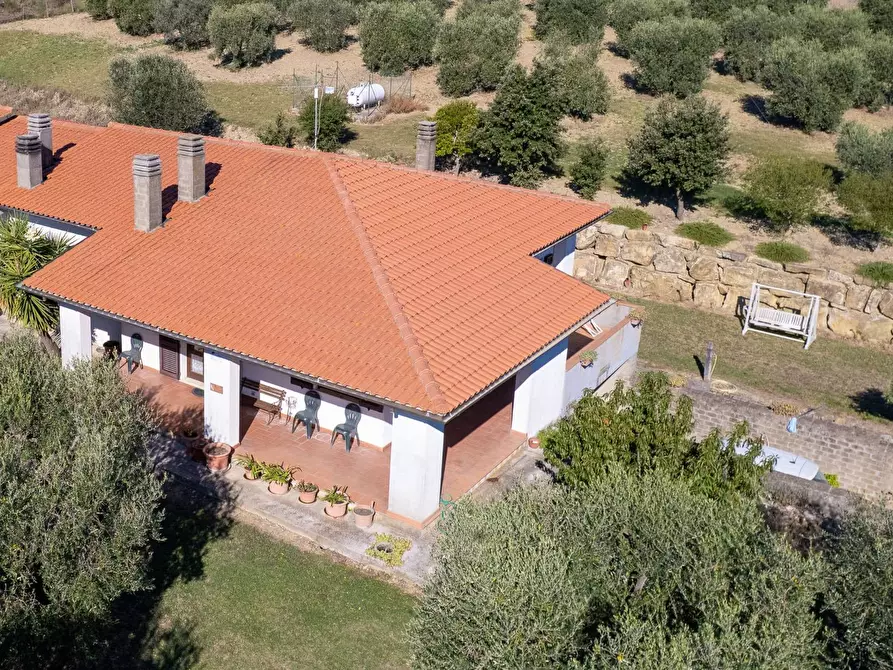 Immagine 10 di Villa in vendita  in agriturismo il poderuccio a Scansano