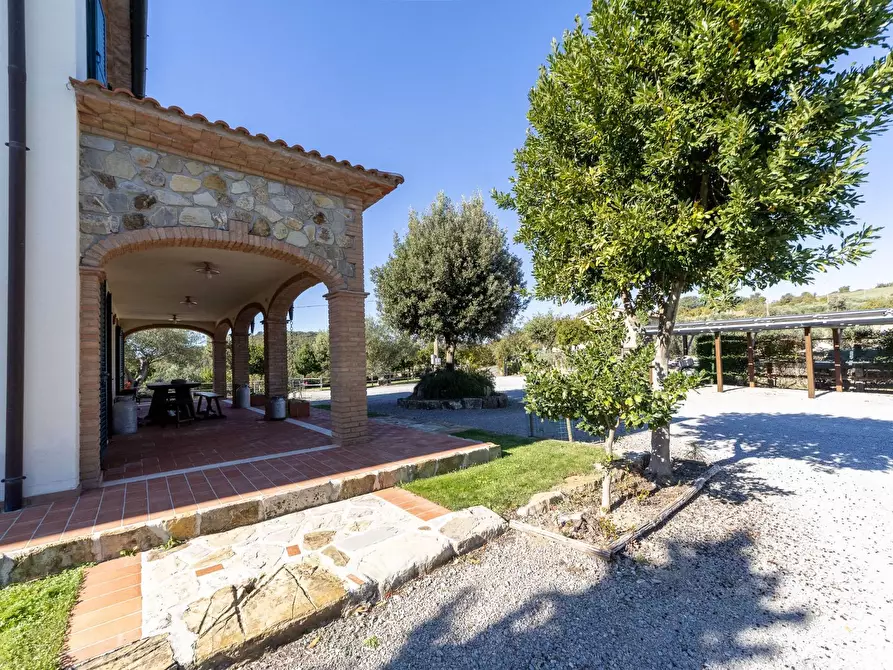 Immagine 14 di Villa in vendita  in agriturismo il poderuccio a Scansano