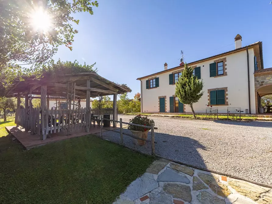 Immagine 16 di Villa in vendita  in agriturismo il poderuccio a Scansano