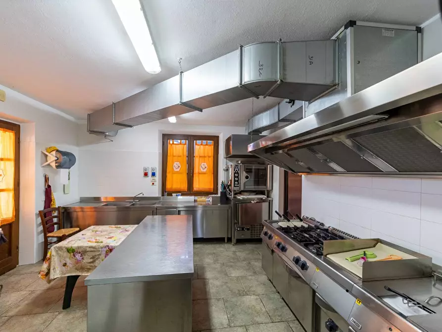 Immagine 18 di Villa in vendita  in agriturismo il poderuccio a Scansano