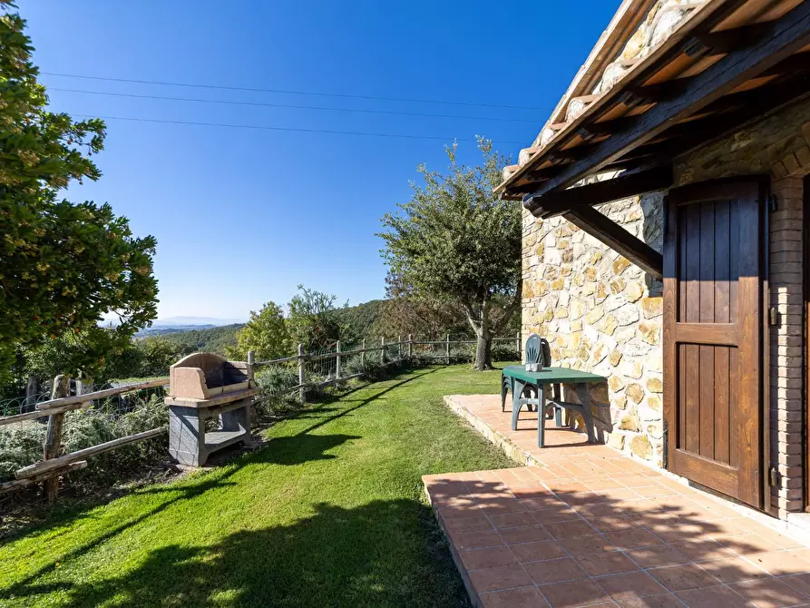 Immagine 24 di Villa in vendita  in agriturismo il poderuccio a Scansano