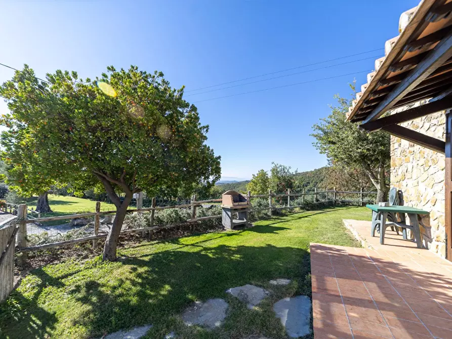 Immagine 28 di Villa in vendita  in agriturismo il poderuccio a Scansano