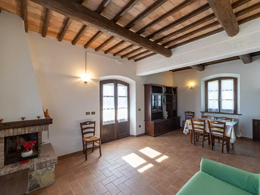 Immagine 29 di Villa in vendita  in agriturismo il poderuccio a Scansano