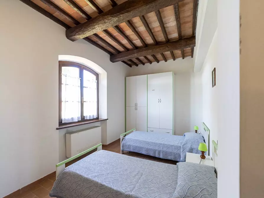 Immagine 34 di Villa in vendita  in agriturismo il poderuccio a Scansano