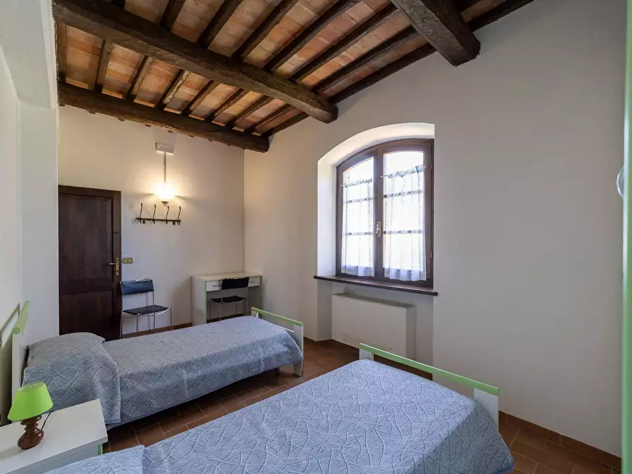 Immagine 35 di Villa in vendita  in agriturismo il poderuccio a Scansano