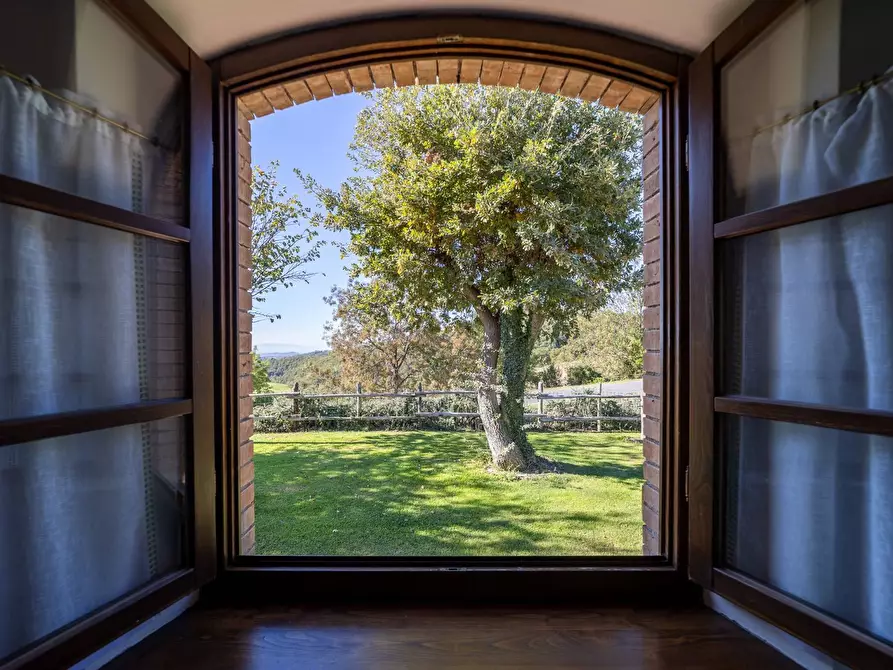 Immagine 36 di Villa in vendita  in agriturismo il poderuccio a Scansano