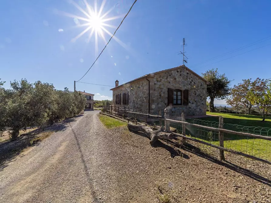 Immagine 38 di Villa in vendita  in agriturismo il poderuccio a Scansano