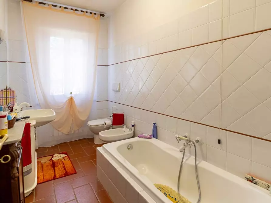 Immagine 44 di Villa in vendita  in agriturismo il poderuccio a Scansano