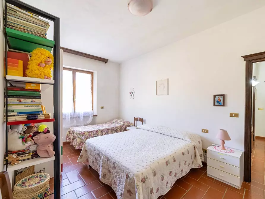Immagine 46 di Villa in vendita  in agriturismo il poderuccio a Scansano