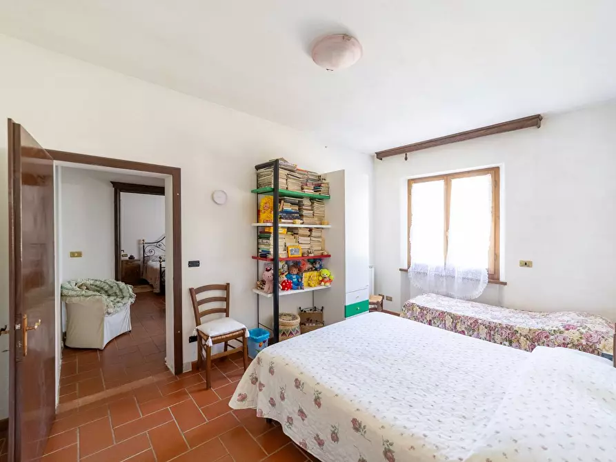 Immagine 47 di Villa in vendita  in agriturismo il poderuccio a Scansano