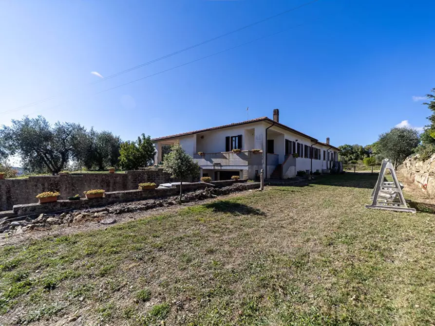 Immagine 51 di Villa in vendita  in agriturismo il poderuccio a Scansano