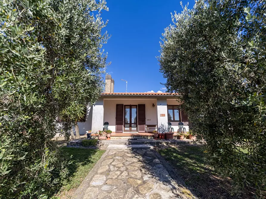 Immagine 52 di Villa in vendita  in agriturismo il poderuccio a Scansano