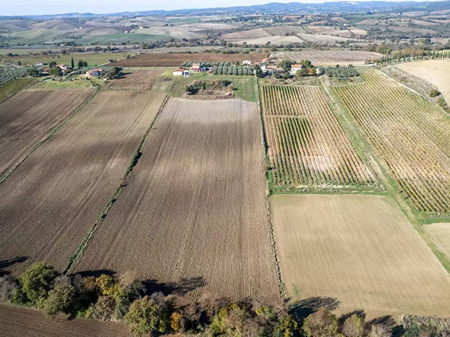 Immagine 20 di Azienda agricola in vendita  in Poggio alle Calle snc a Manciano