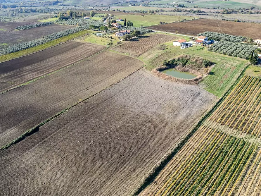 Immagine 21 di Azienda agricola in vendita  in Poggio alle Calle snc a Manciano
