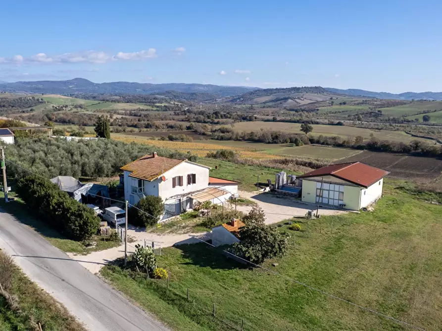 Immagine 3 di Azienda agricola in vendita  in Poggio alle Calle snc a Manciano