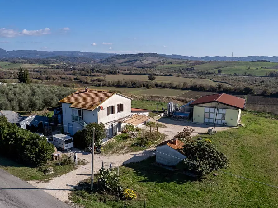 Immagine 4 di Azienda agricola in vendita  in Poggio alle Calle snc a Manciano