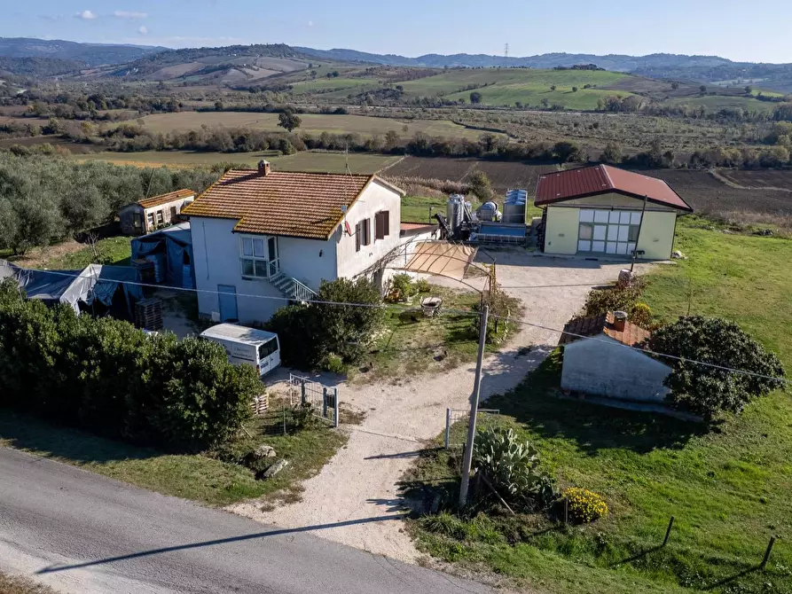 Immagine 6 di Azienda agricola in vendita  in Poggio alle Calle snc a Manciano