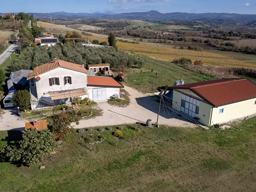 Immagine 7 di Azienda agricola in vendita  in Poggio alle Calle snc a Manciano