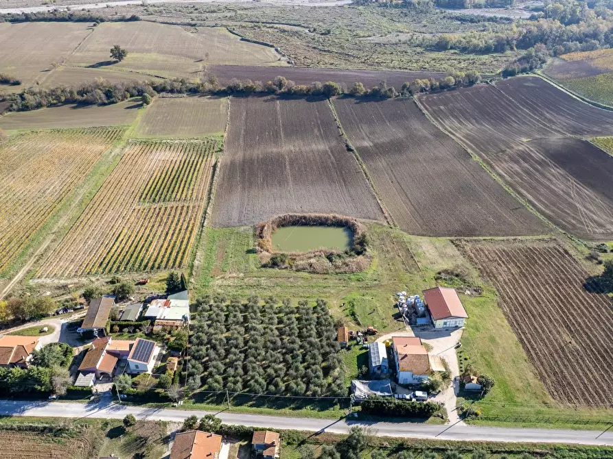 Immagine 19 di Azienda agricola in vendita  in Poggio alle Calle snc a Manciano