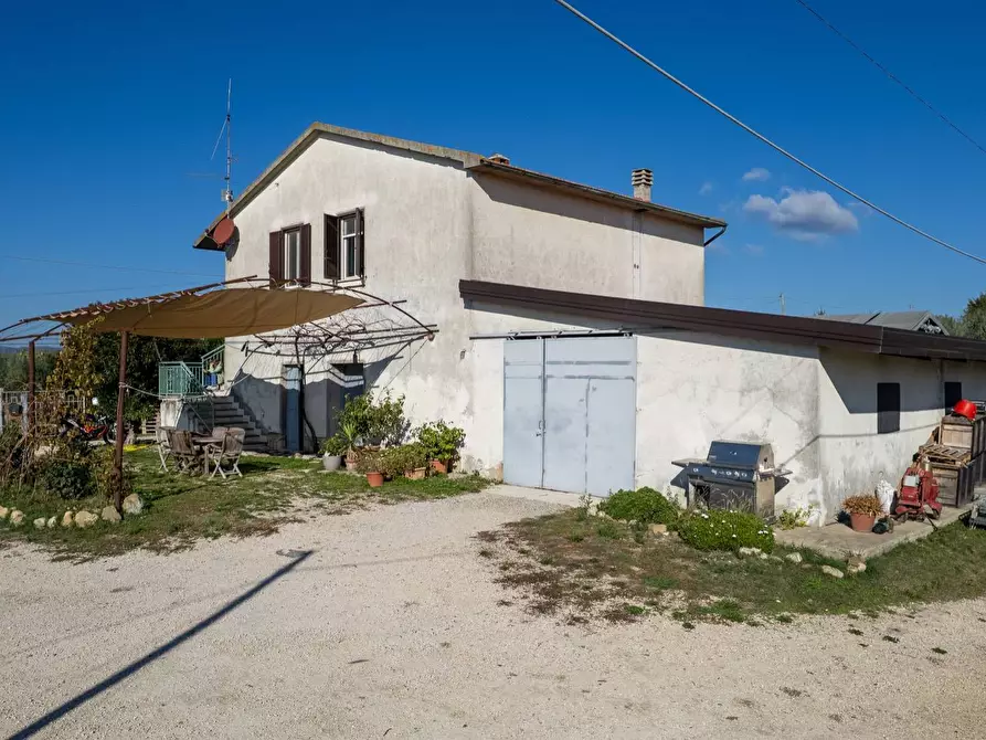 Immagine 5 di Azienda agricola in vendita  in Poggio alle Calle snc a Manciano