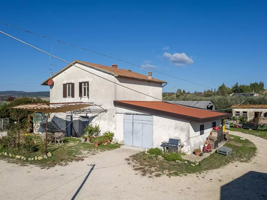 Immagine 13 di Azienda agricola in vendita  in Poggio alle Calle snc a Manciano