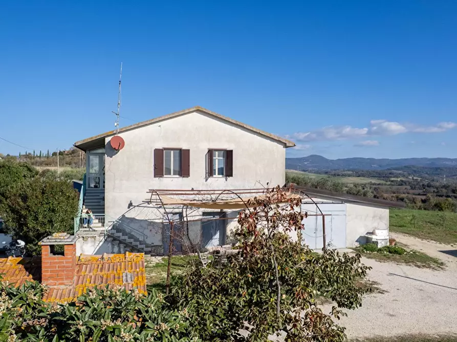 Immagine 14 di Azienda agricola in vendita  in Poggio alle Calle snc a Manciano