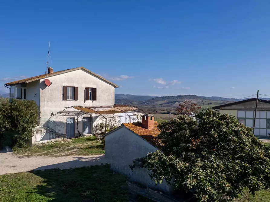 Immagine 15 di Azienda agricola in vendita  in Poggio alle Calle snc a Manciano