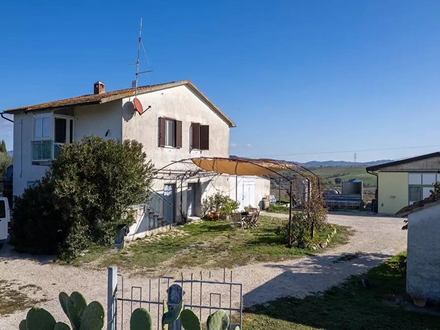 Immagine 16 di Azienda agricola in vendita  in Poggio alle Calle snc a Manciano