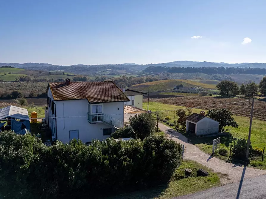 Immagine 17 di Azienda agricola in vendita  in Poggio alle Calle snc a Manciano