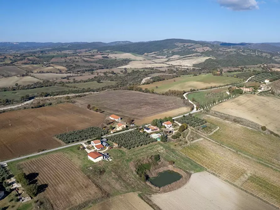 Immagine 23 di Azienda agricola in vendita  in Poggio alle Calle snc a Manciano