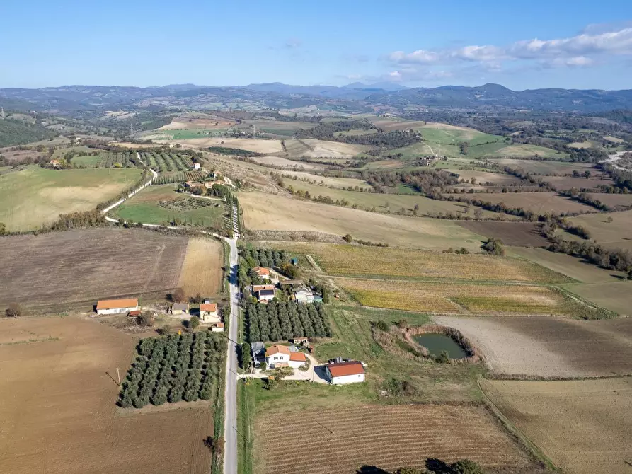 Immagine 2 di Azienda agricola in vendita  in Poggio alle Calle snc a Manciano