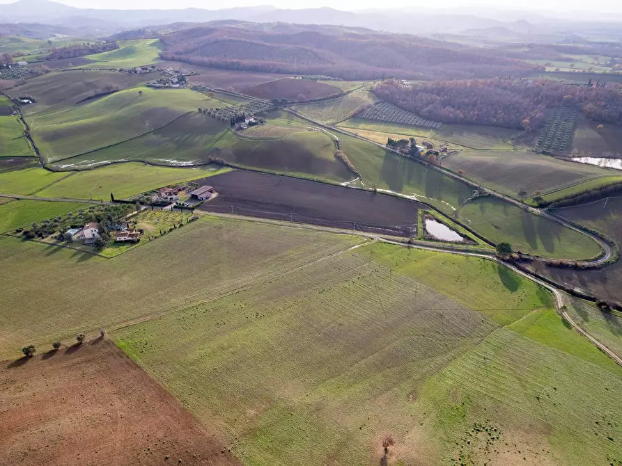 Immagine 2 di Villa in vendita  in Località Cavallini a Manciano